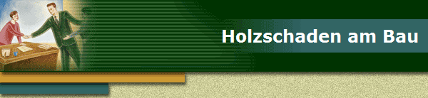 Holzschaden am Bau