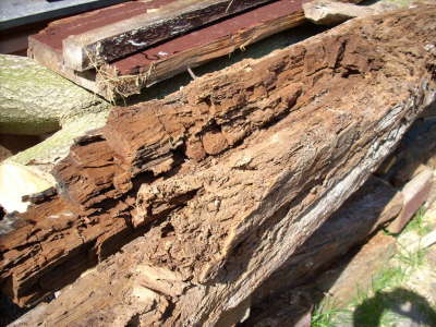 Holzschaden am Fachwerk