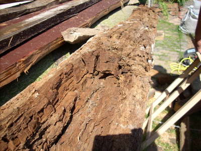 Holzschaden, unbersehbar